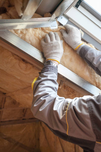 Best Basement Insulation  in Medina, TX